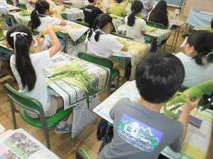 HPとうもろこし