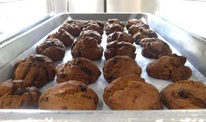 11月27日調理③HP