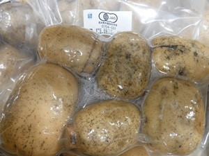 12月１２日れんこんHP