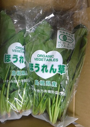 12月１２日ほうれんそうHP