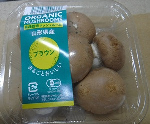 １２月１２日マッシュルームHP