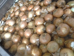 12月１２日玉ねぎHP